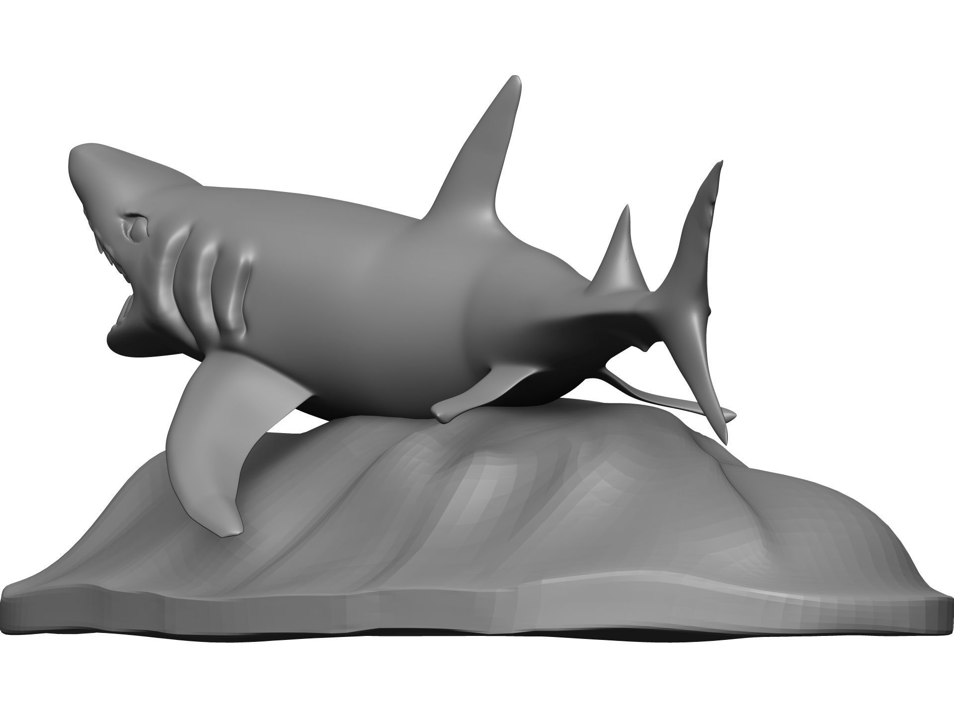 Shark 3D model_4