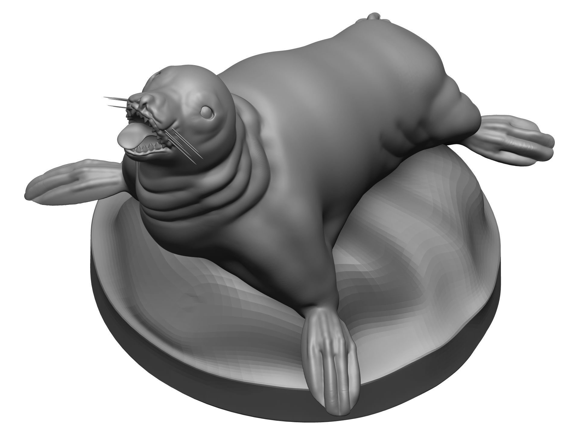 Sea Lion 3D model_9