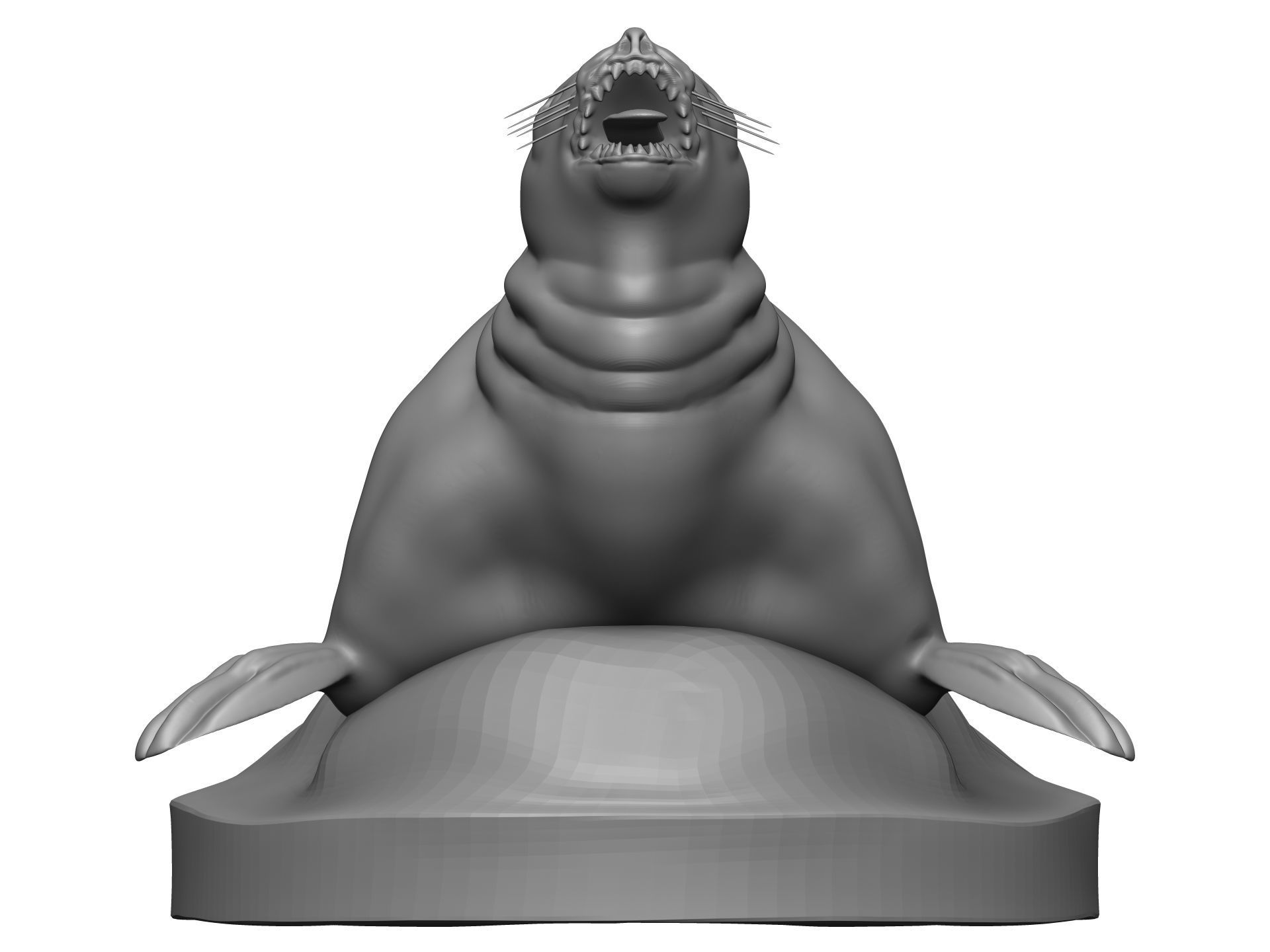 Sea Lion 3D model_1