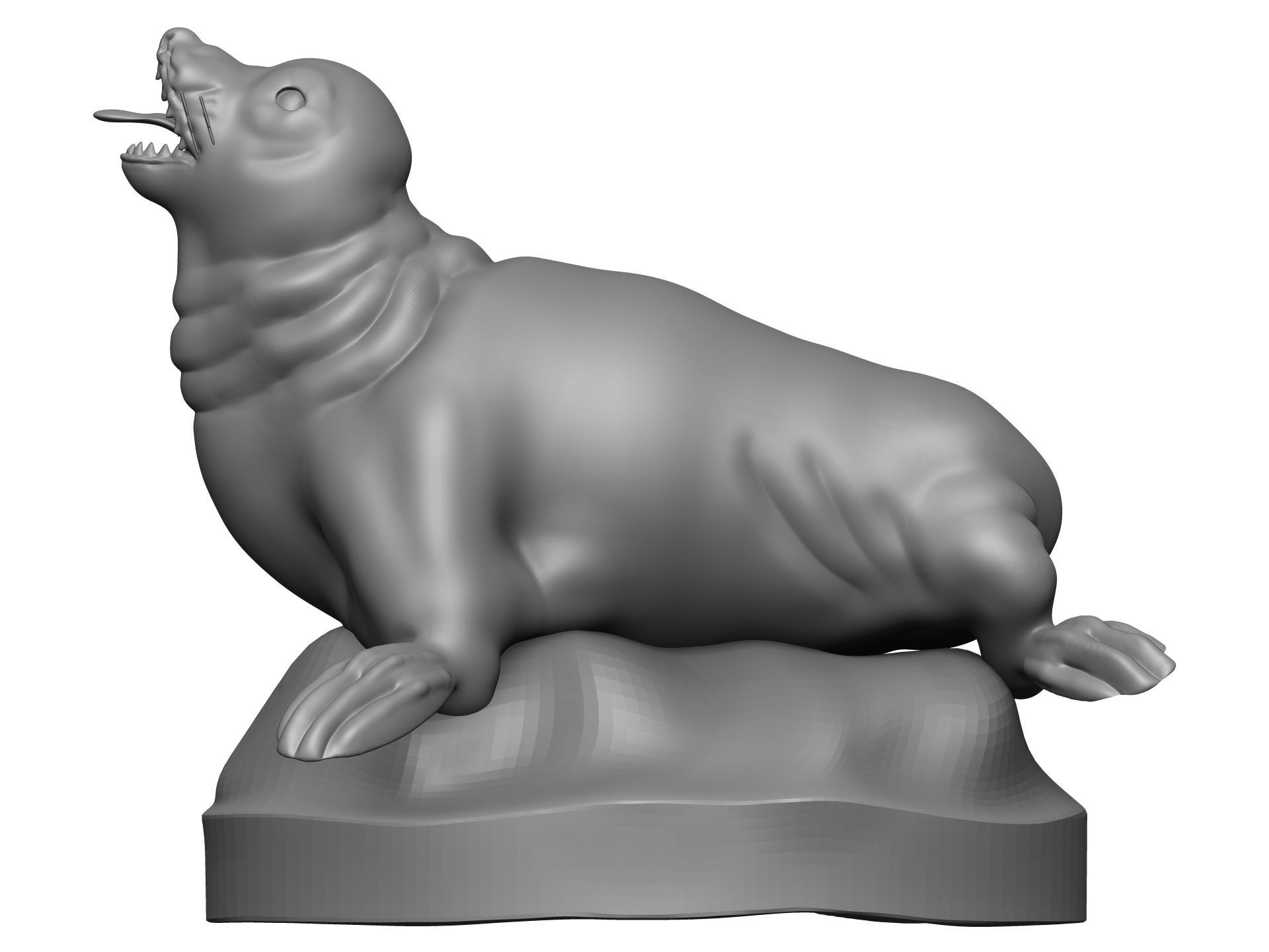 Sea Lion 3D model_3