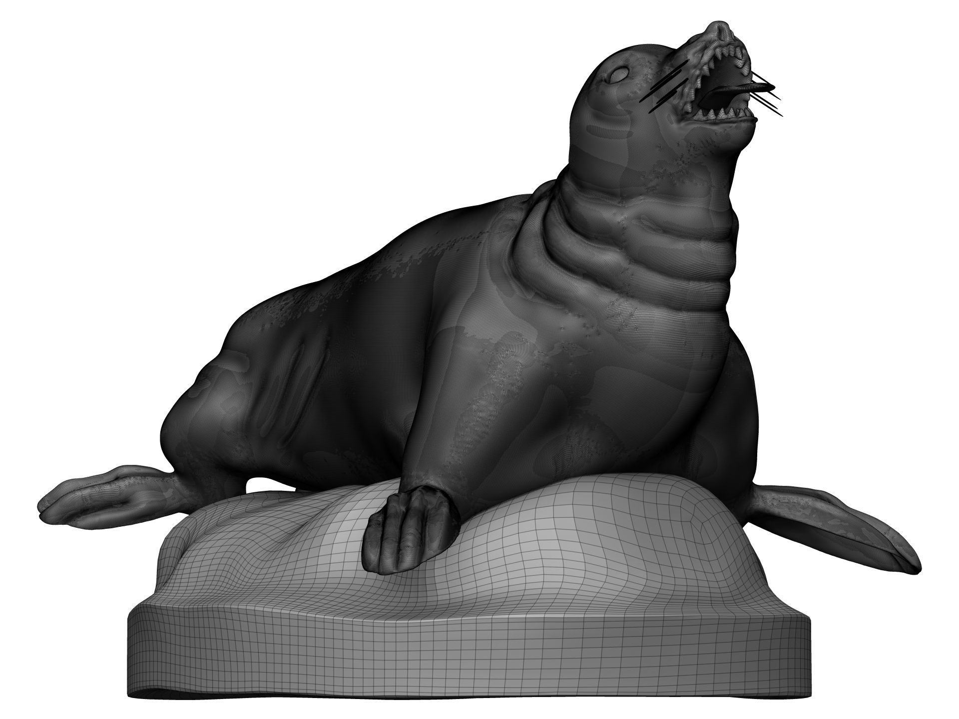 Sea Lion 3D model_10
