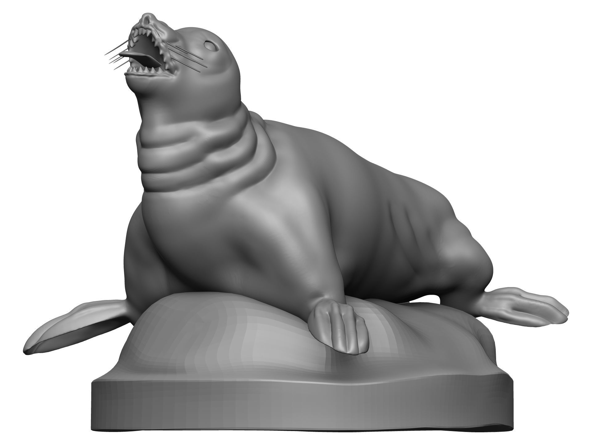 Sea Lion 3D model_2