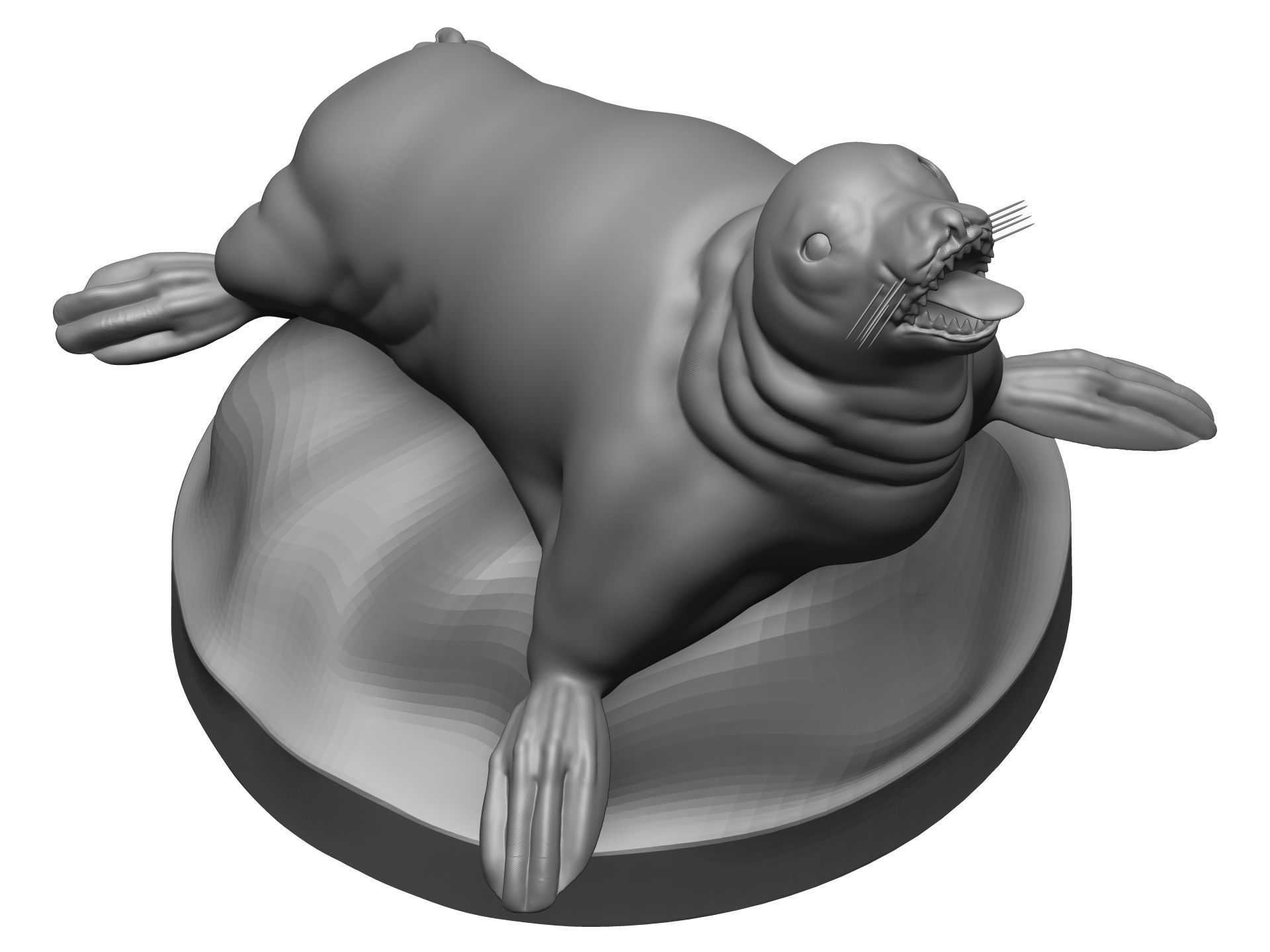 Sea Lion 3D model_8