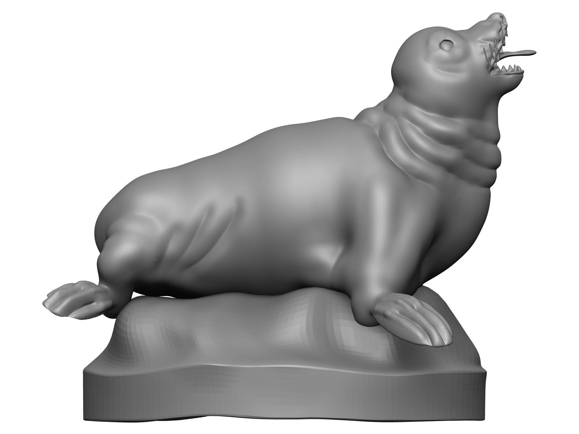 Sea Lion 3D model_7