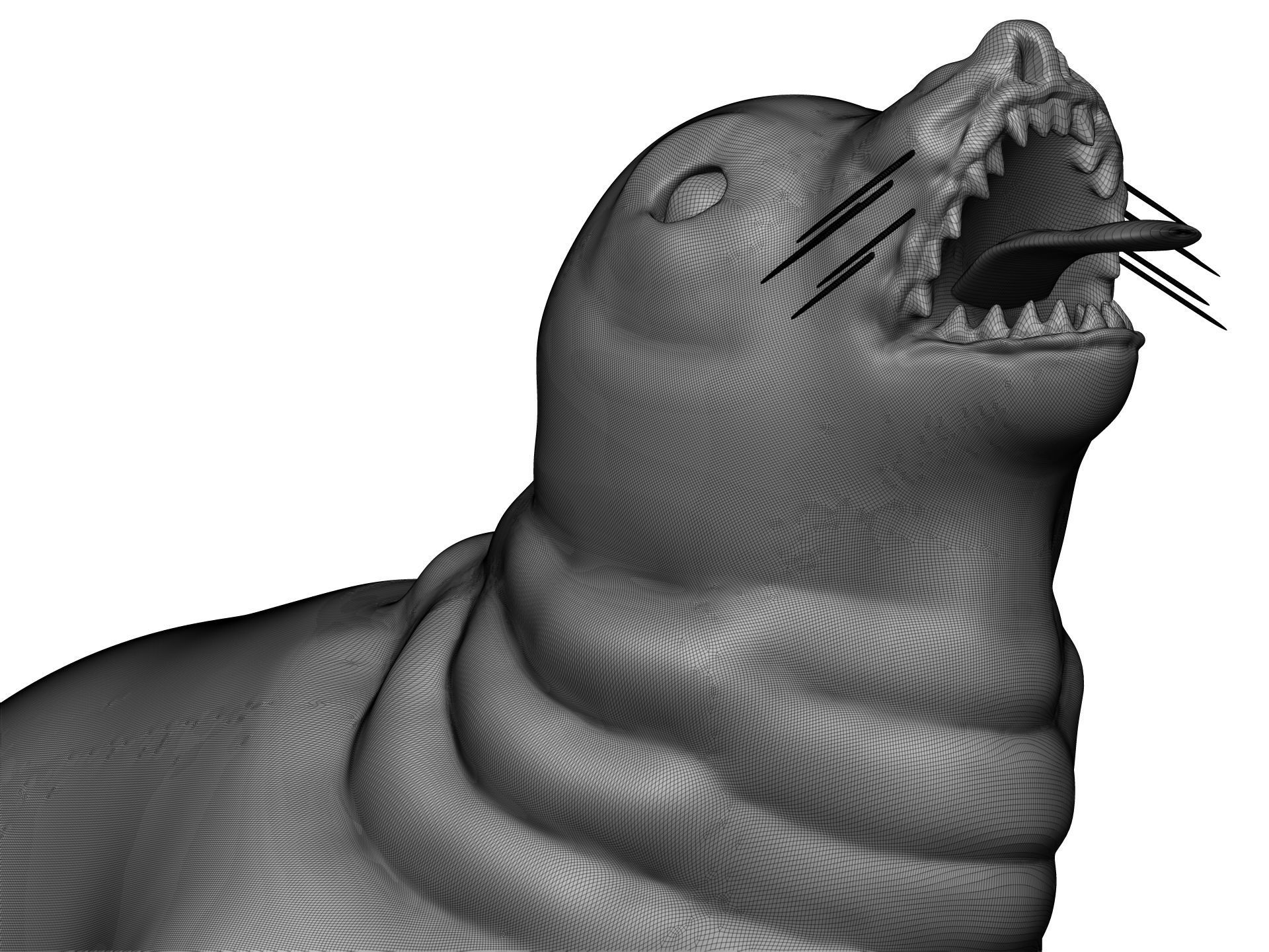 Sea Lion 3D model_11