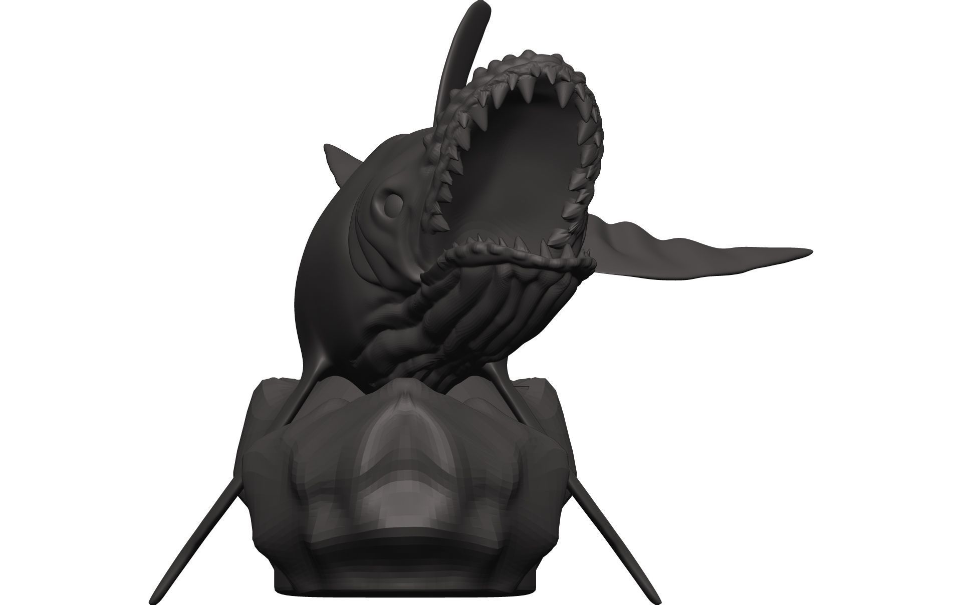 Humback Whale  3D model_1