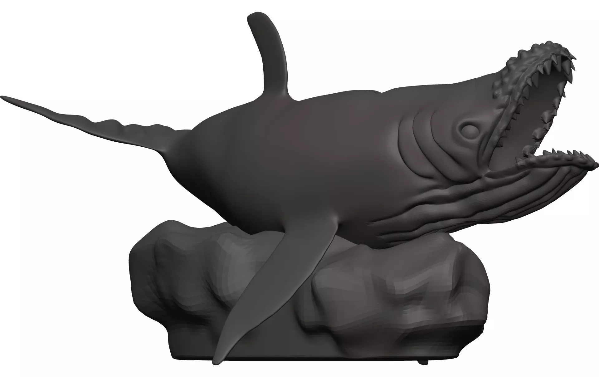 Humback Whale  3D model_0