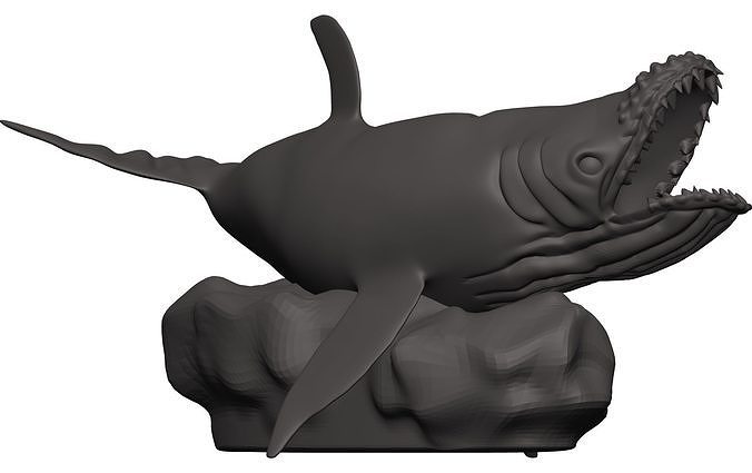 Humback Whale  3D model