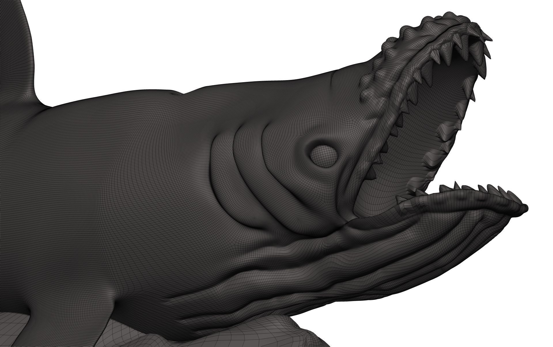 Humback Whale  3D model_11