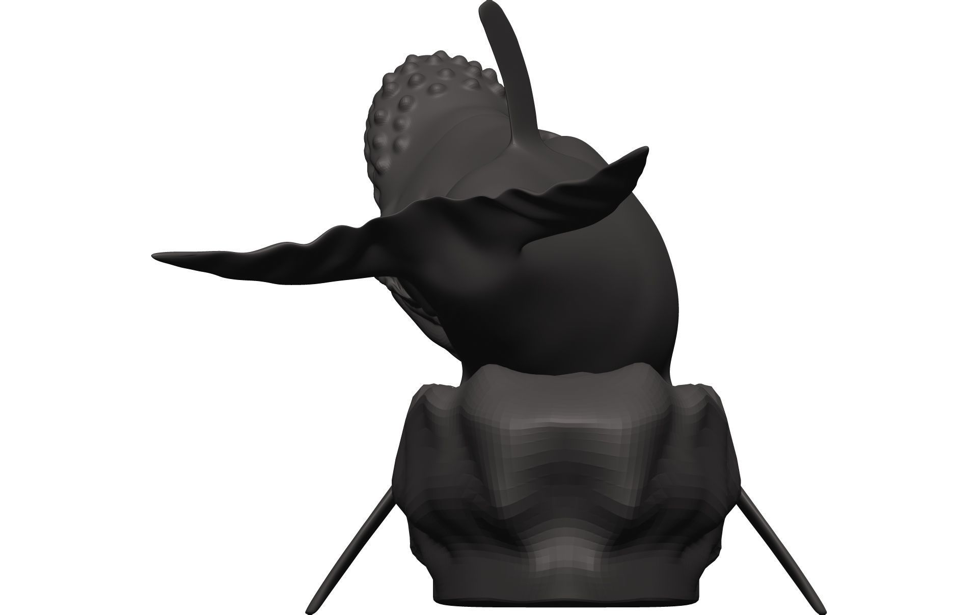 Humback Whale  3D model_5