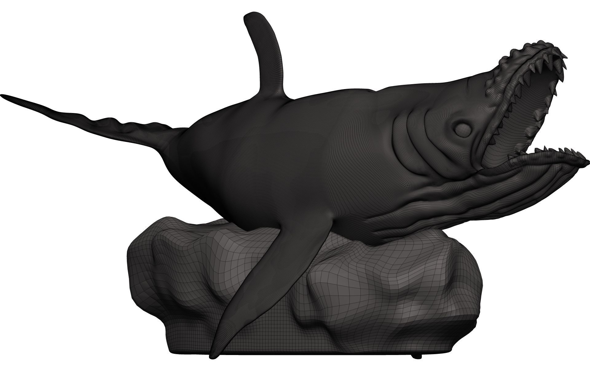 Humback Whale  3D model_10