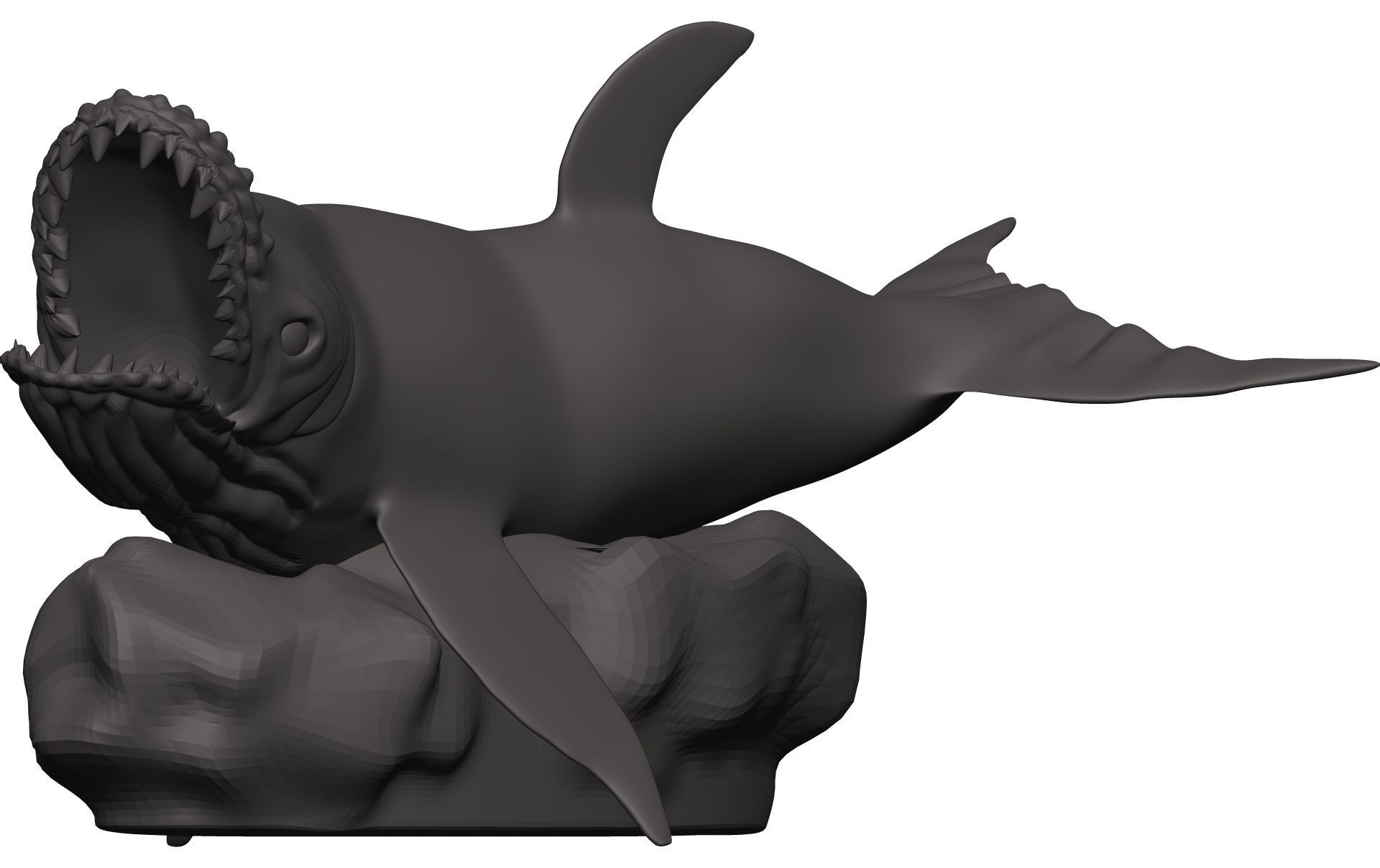 Humback Whale  3D model_2