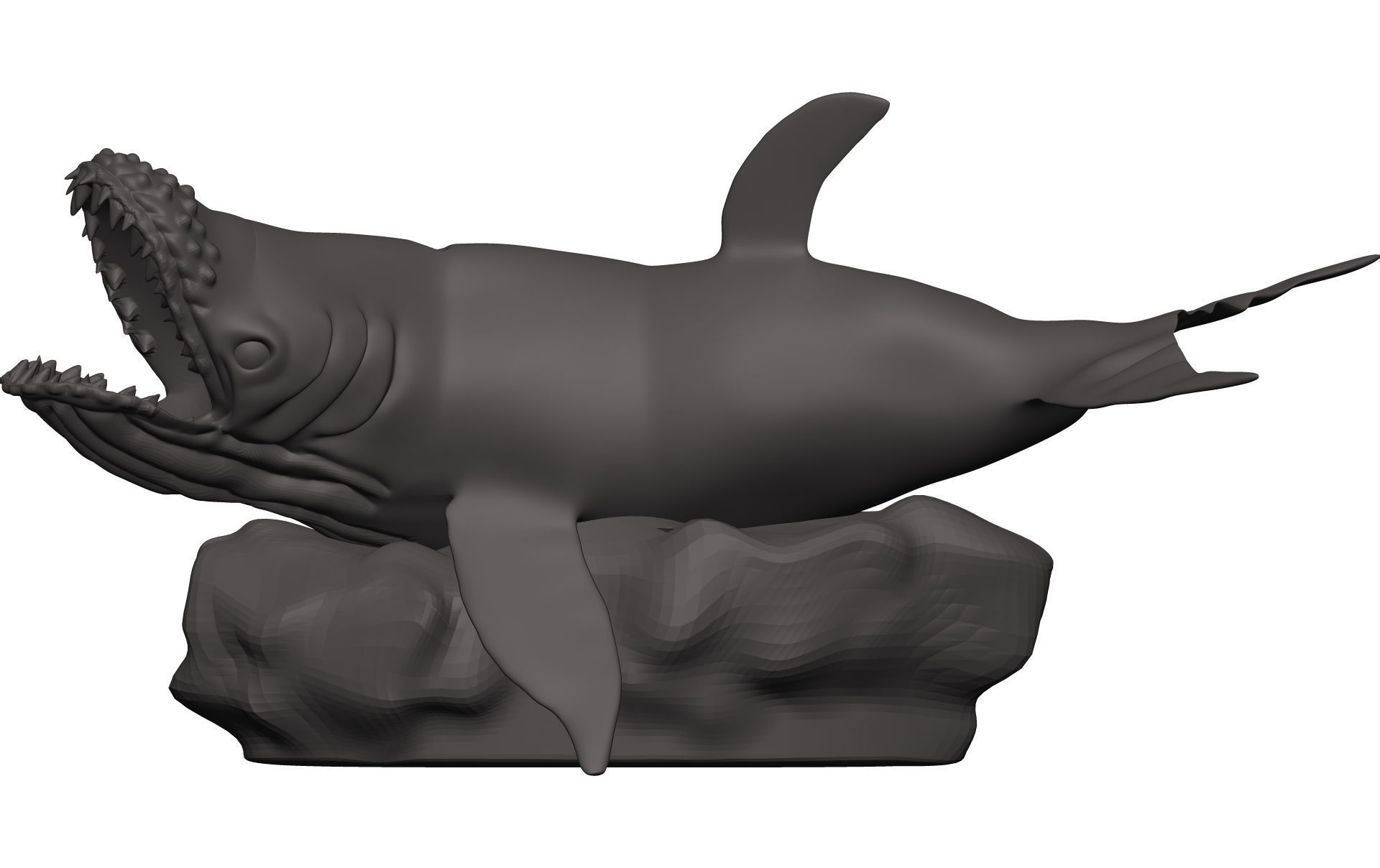 Humback Whale  3D model_3