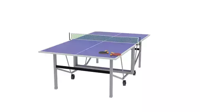 Table Tennis Set