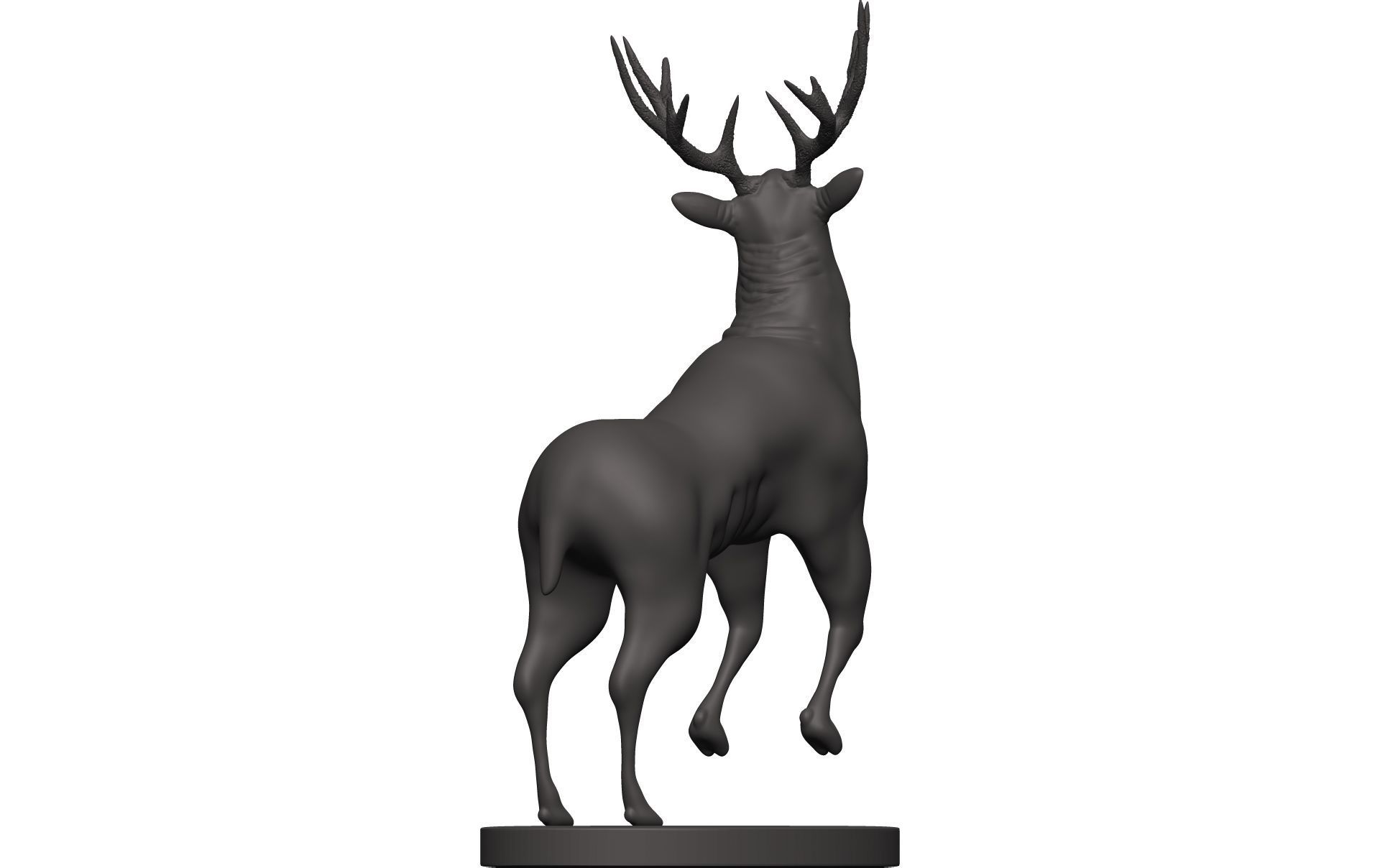 Mule Deer 3D model_6