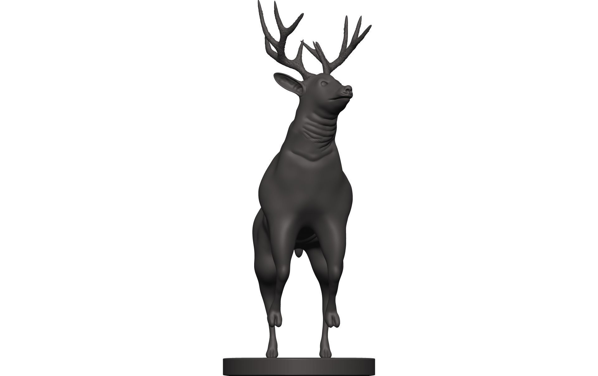 Mule Deer 3D model_1