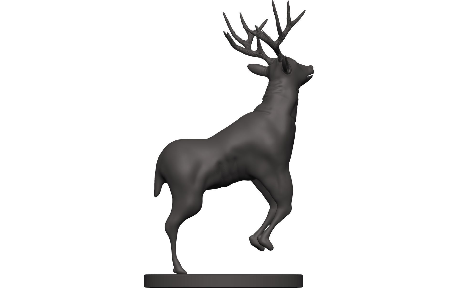 Mule Deer 3D model_7