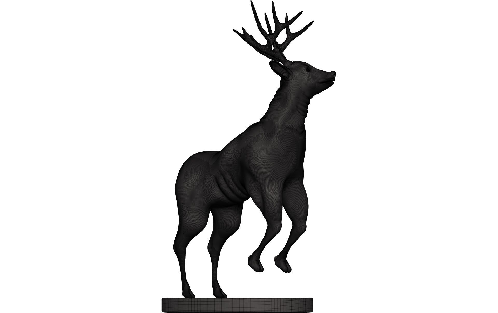 Mule Deer 3D model_10