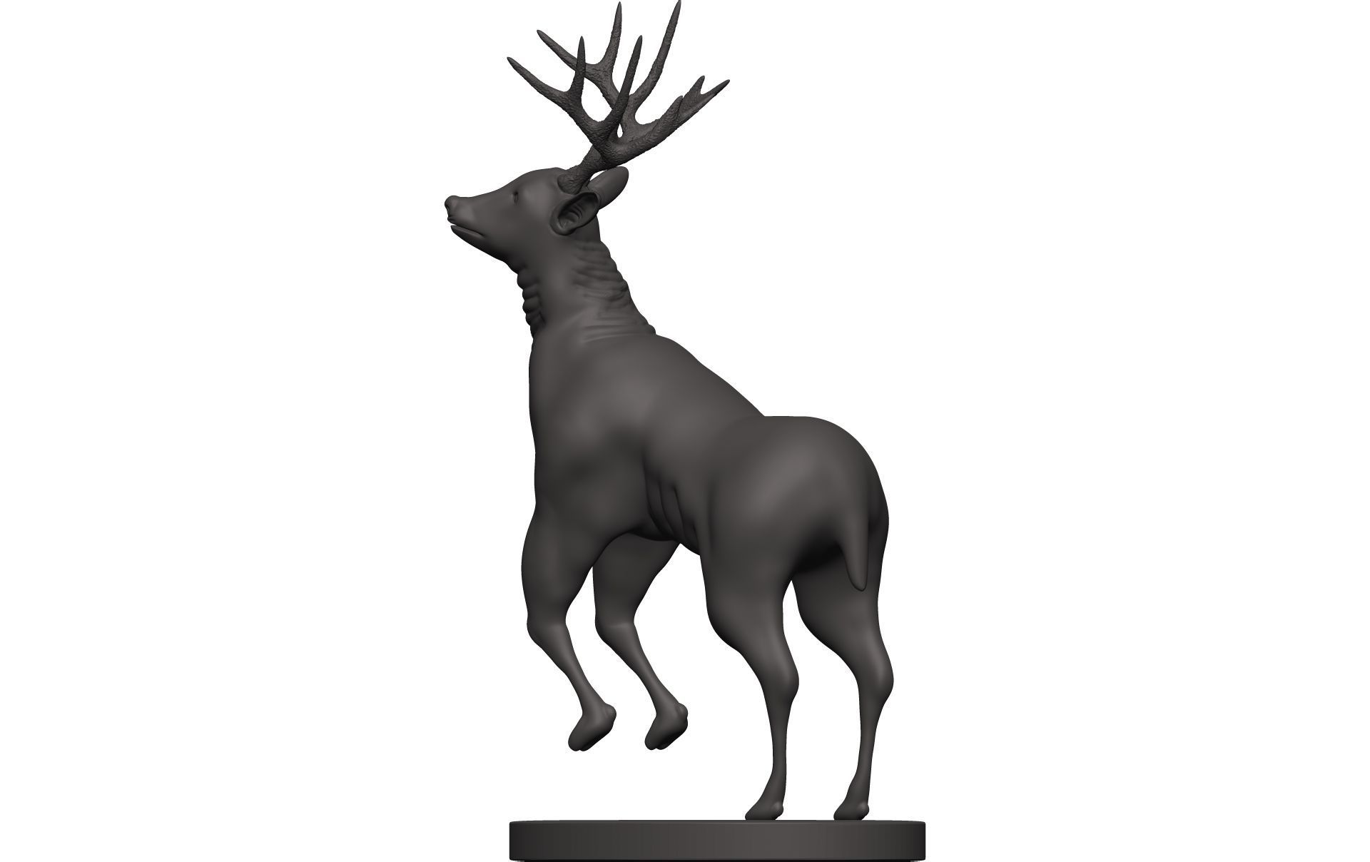 Mule Deer 3D model_4