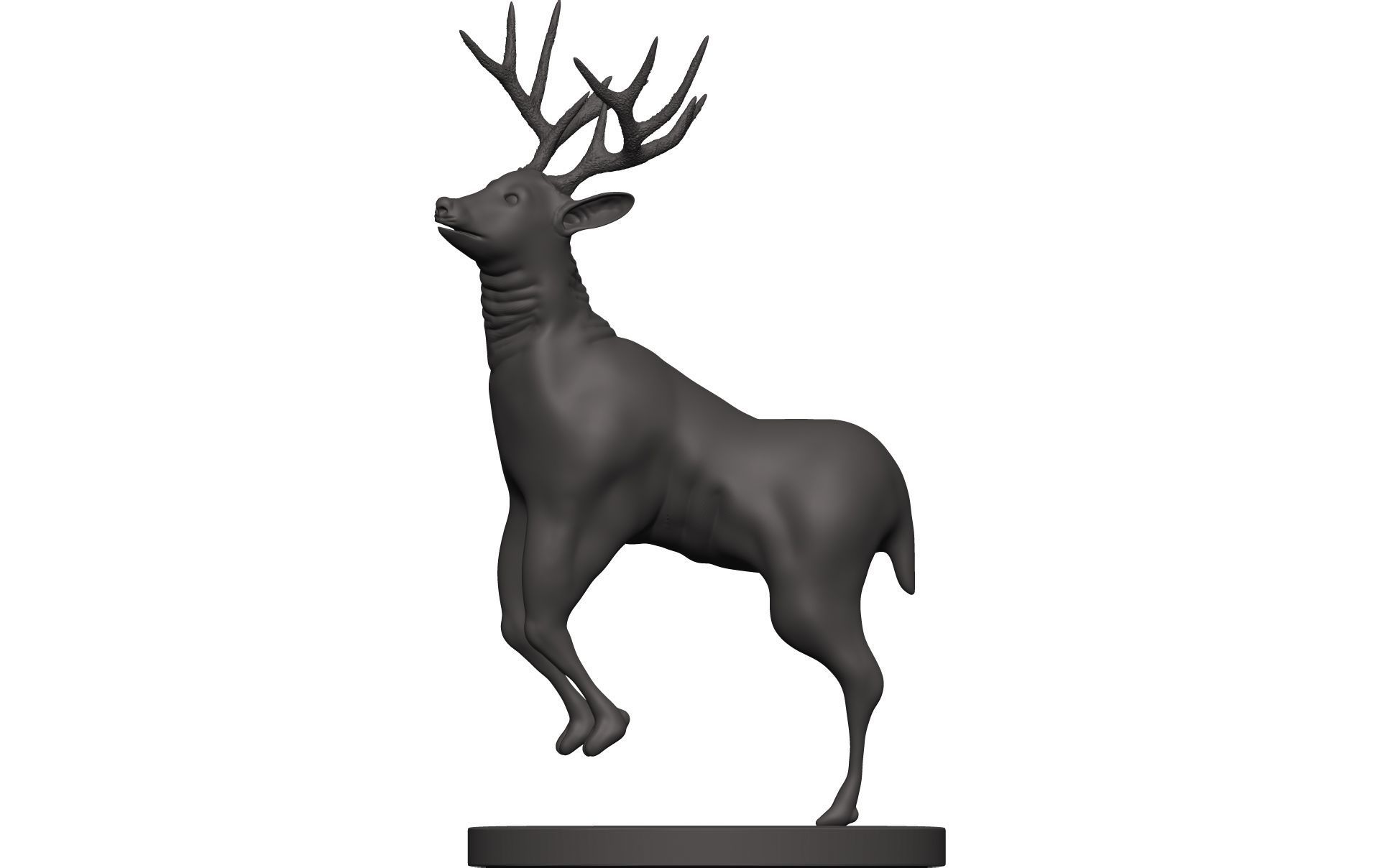 Mule Deer 3D model_3