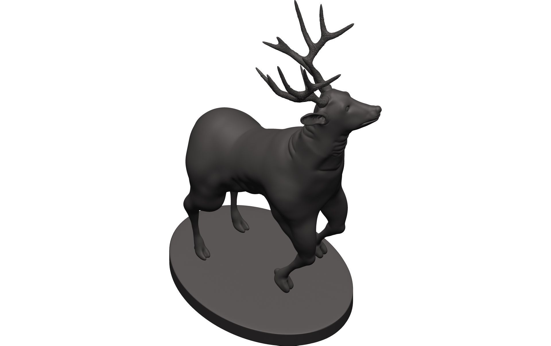 Mule Deer 3D model_8