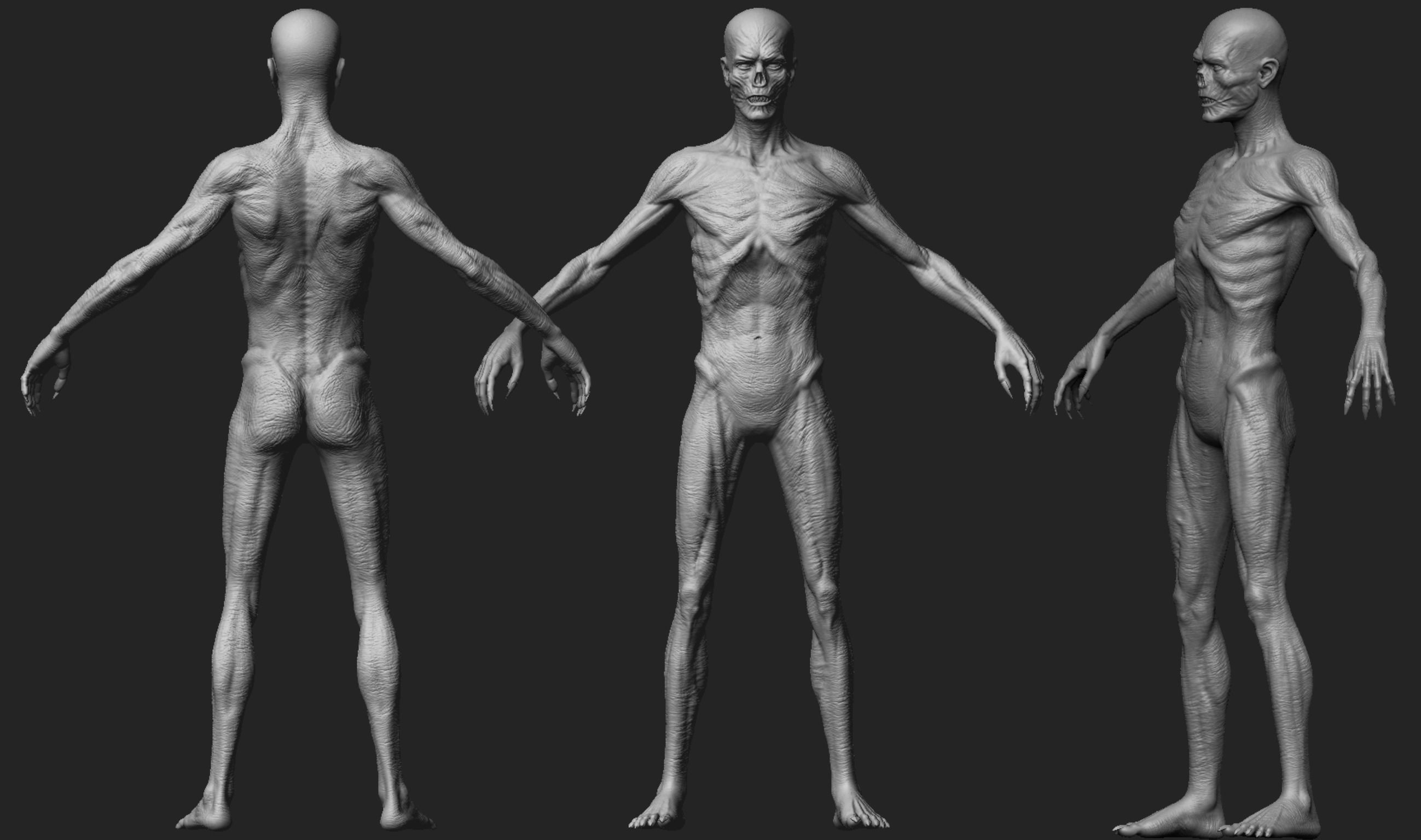 High poly zombie model skeleton with arms and legs 3D model_1