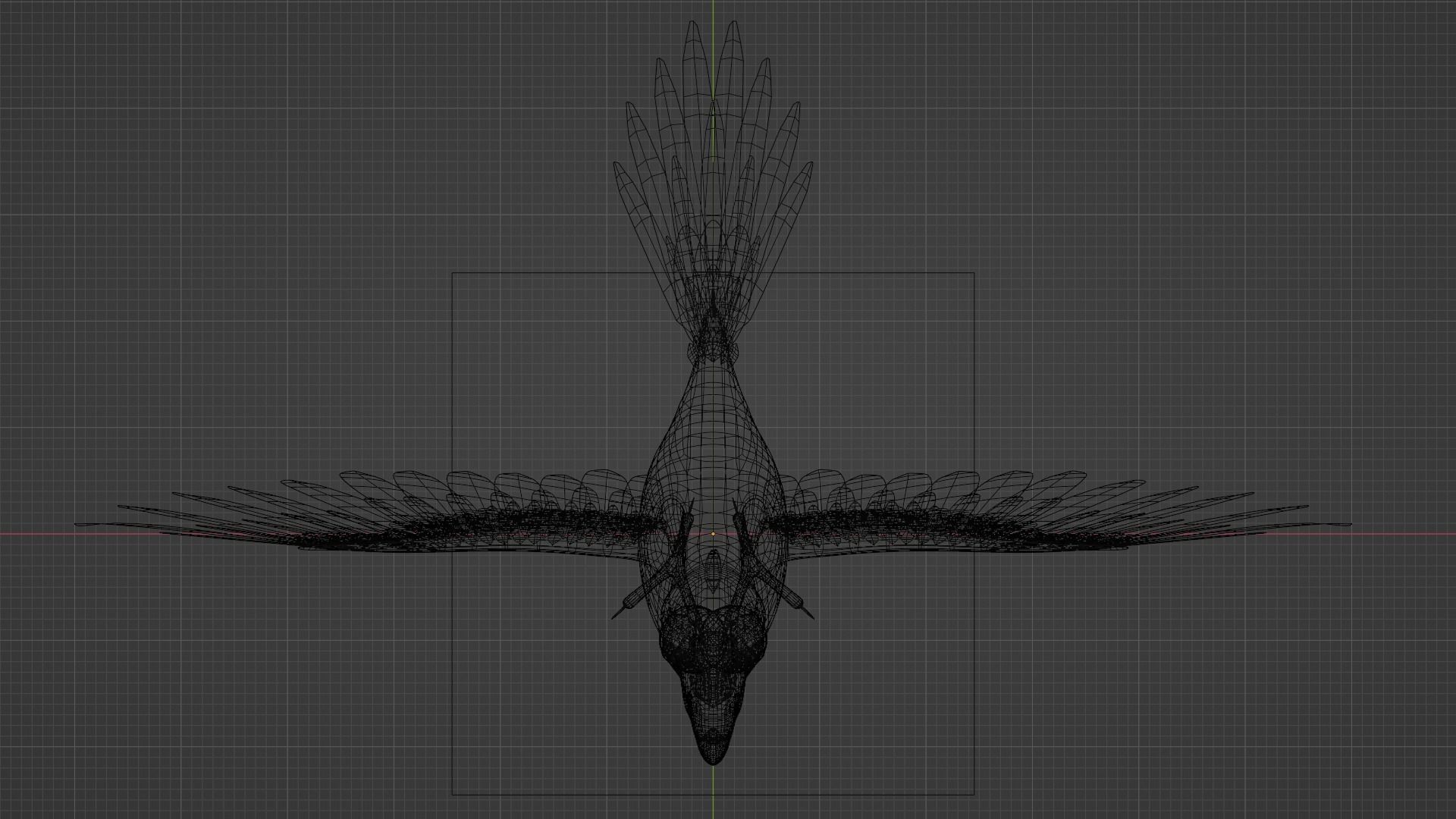 Blue Macaw 3D model_5