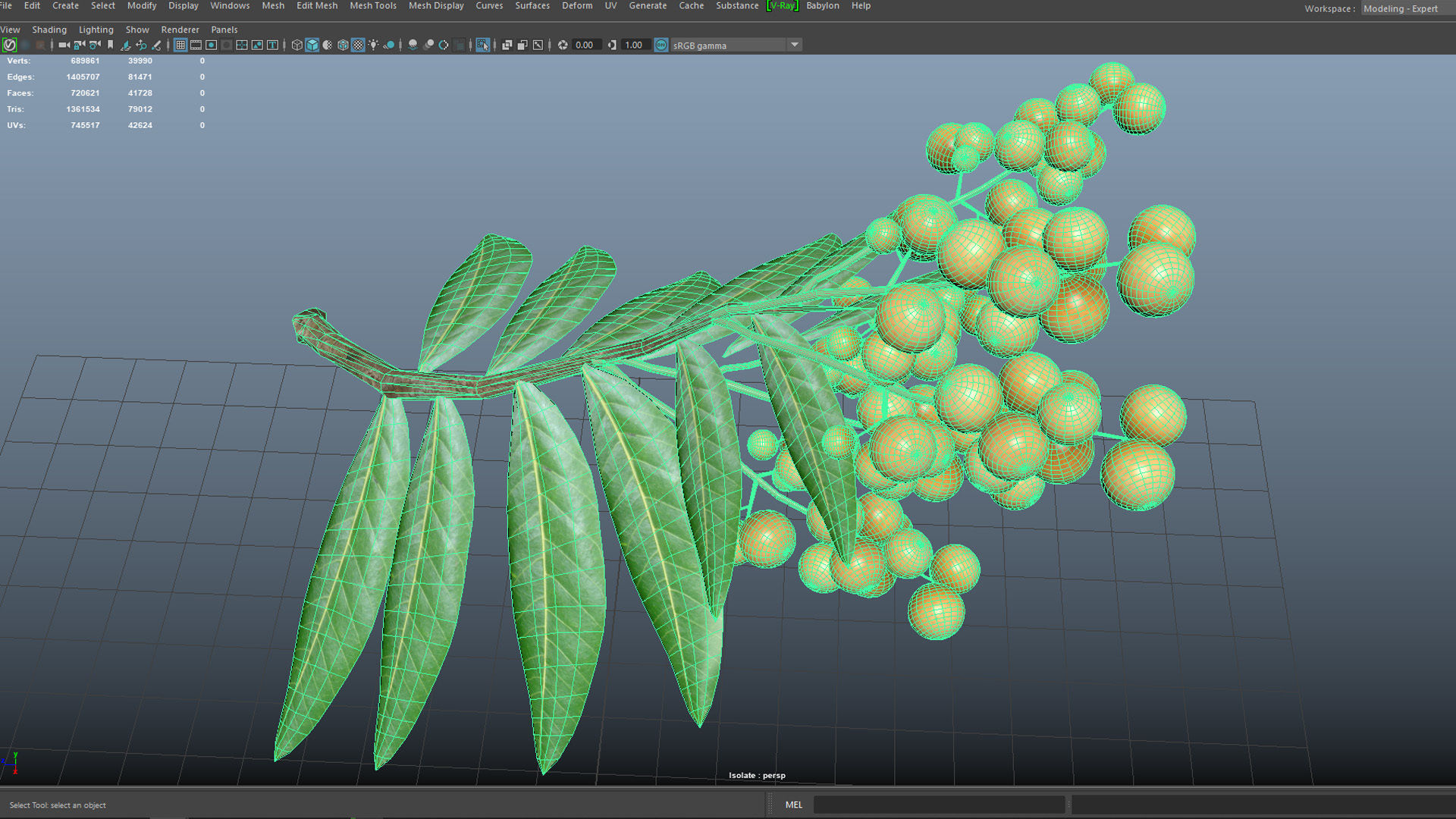 Longan tree branch  Free low-poly 3D model_3