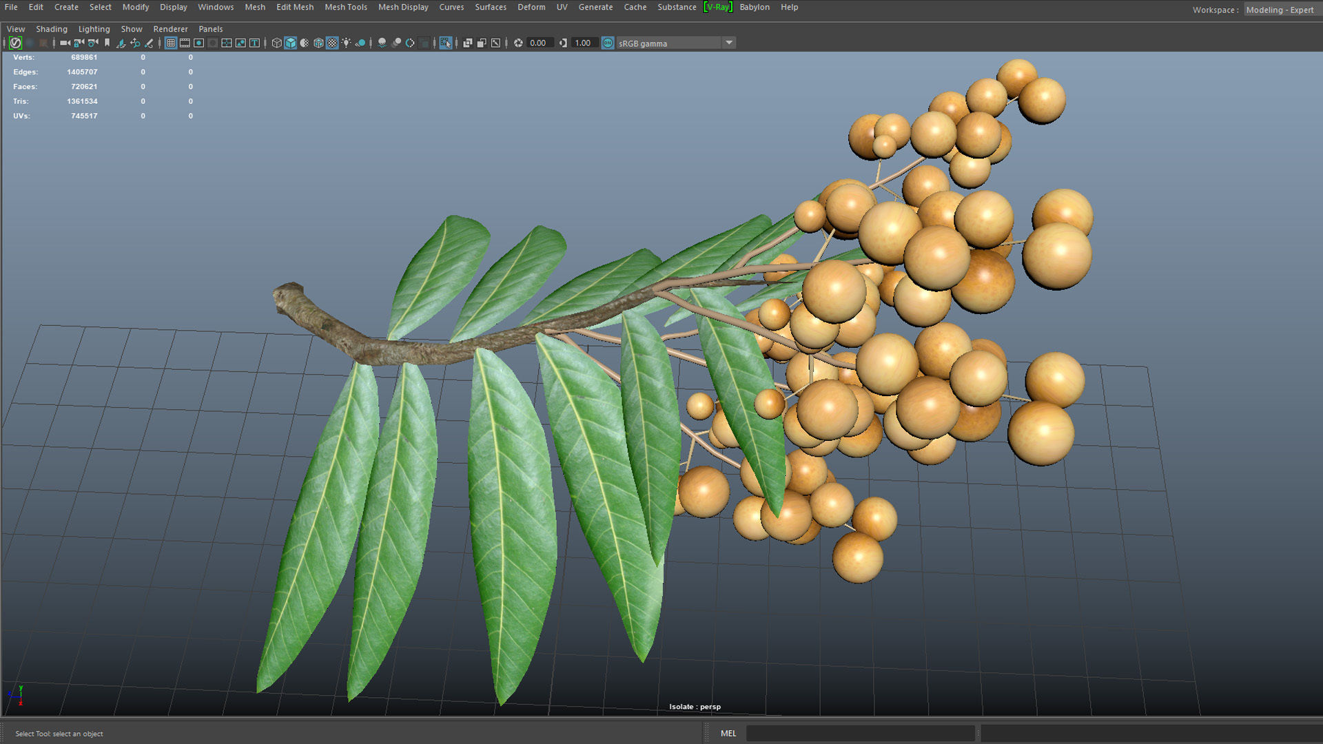 Longan tree branch  Free low-poly 3D model_6