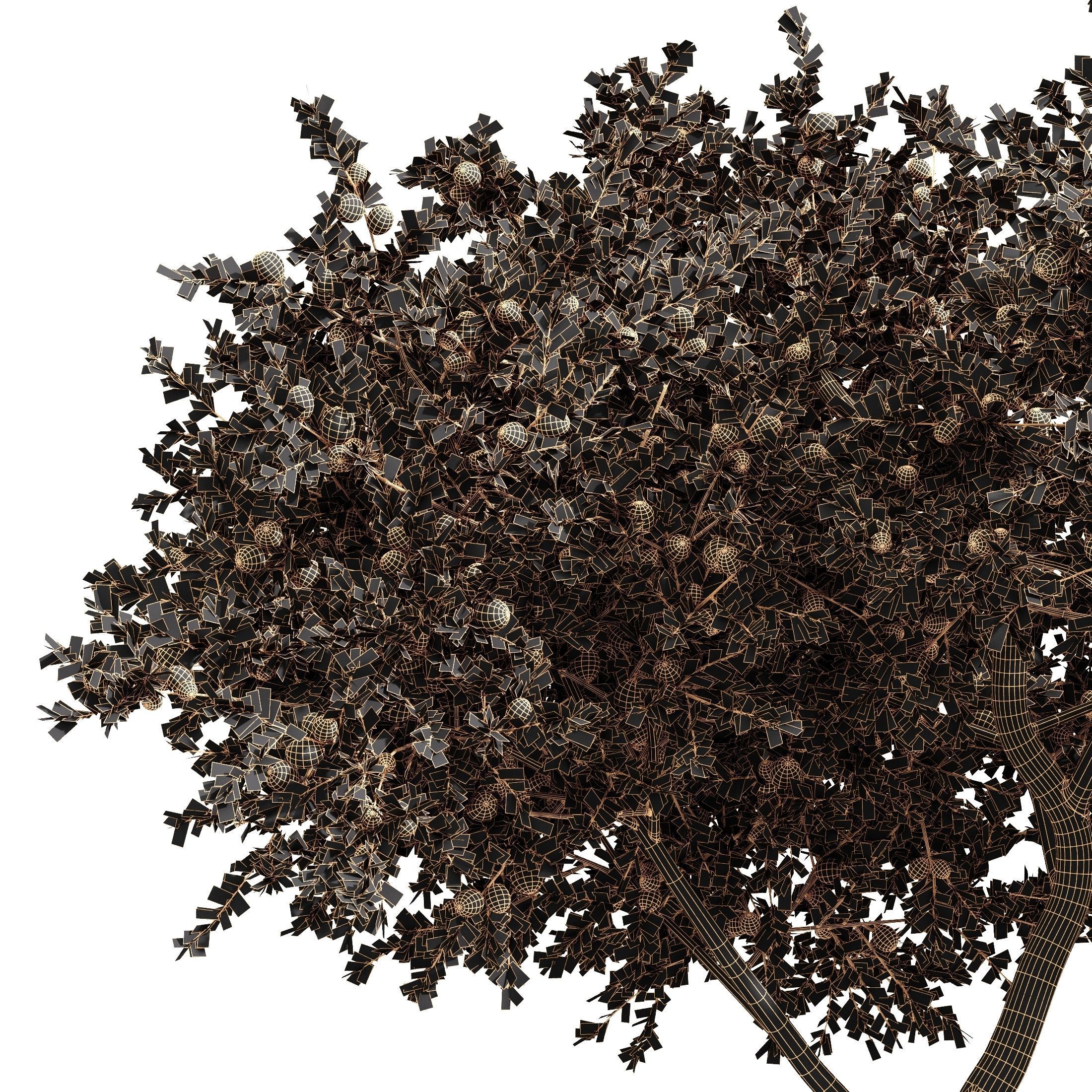 fruit trees orange and apple 3D model_5