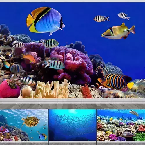 Photo Wallpaper No 49