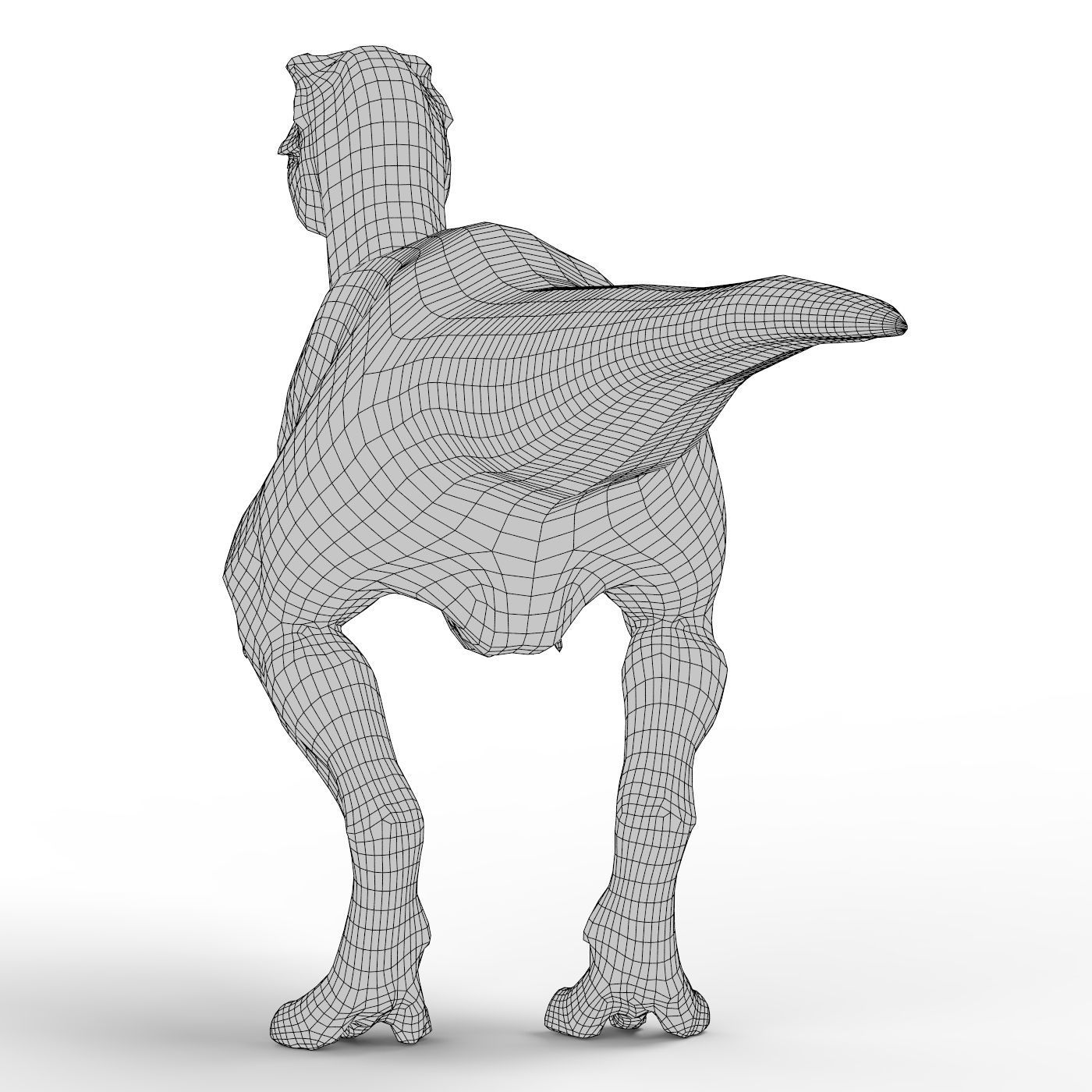 Dinosaur Base Mesh Low-poly 3D model_6