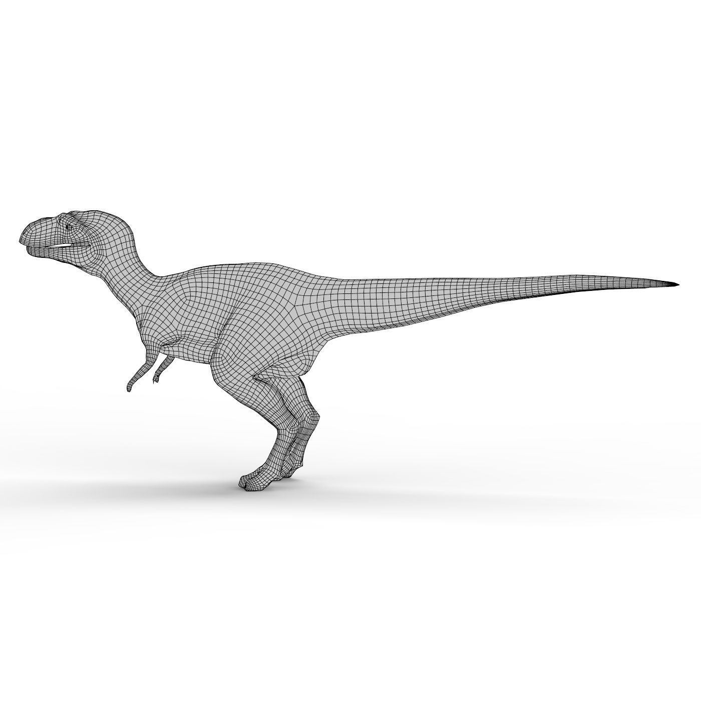 Dinosaur Base Mesh Low-poly 3D model_5