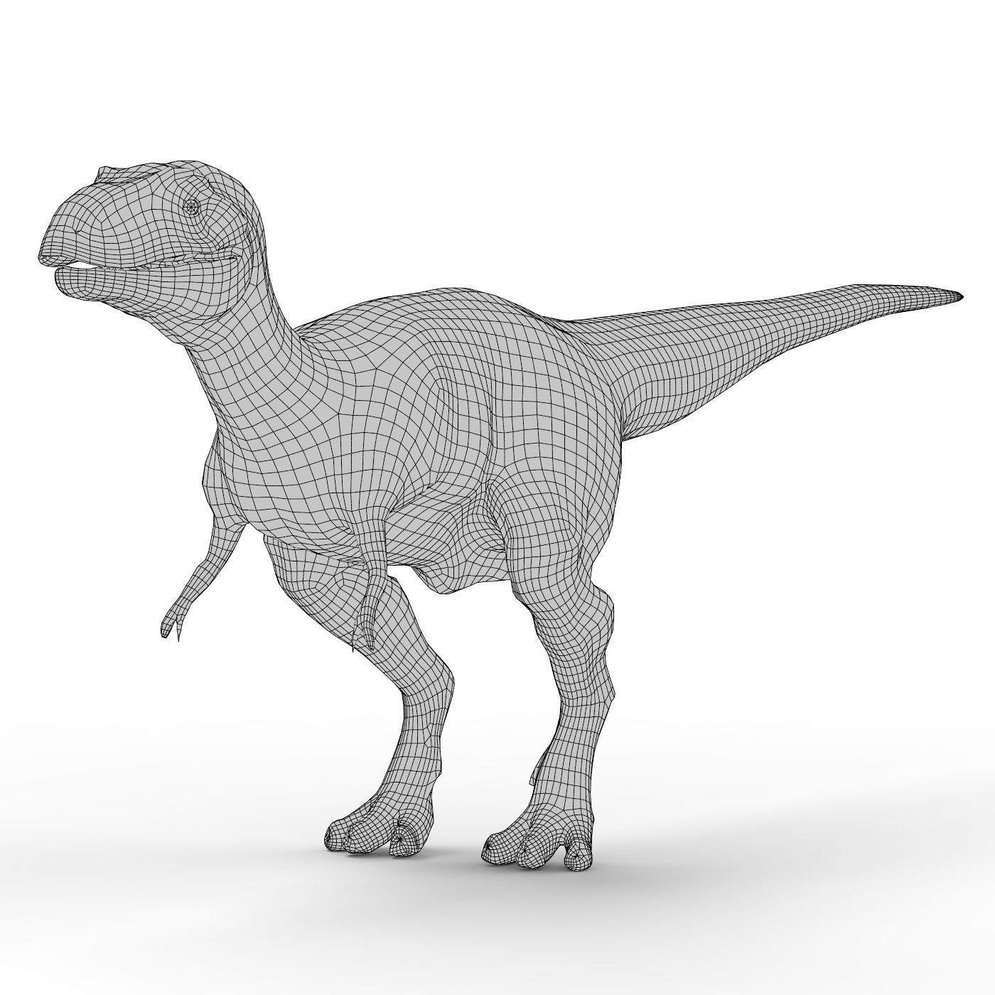 Dinosaur Base Mesh Low-poly 3D model_4