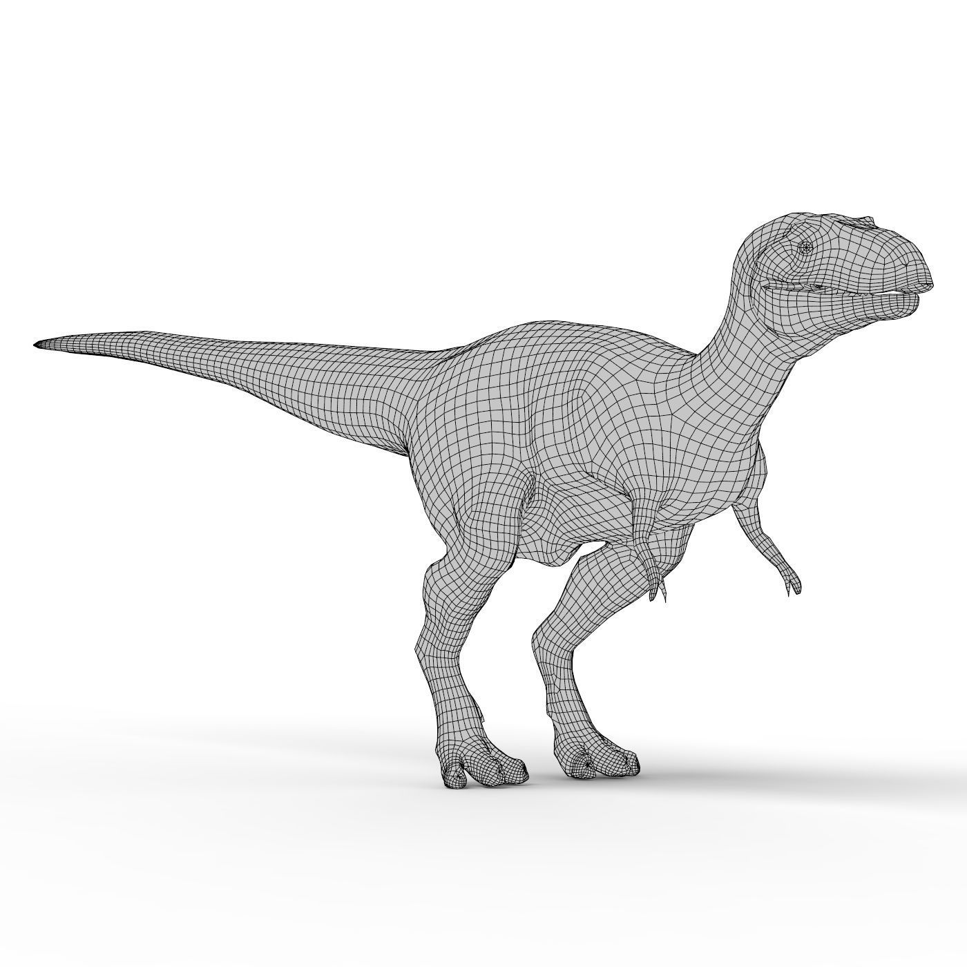 Dinosaur Base Mesh Low-poly 3D model_7