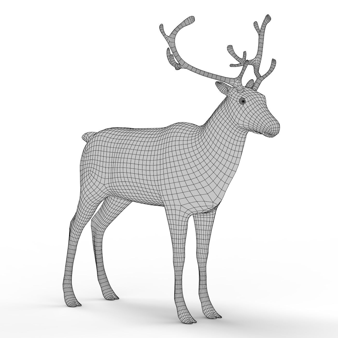 Deer Base Mesh Low-poly 3D model_6