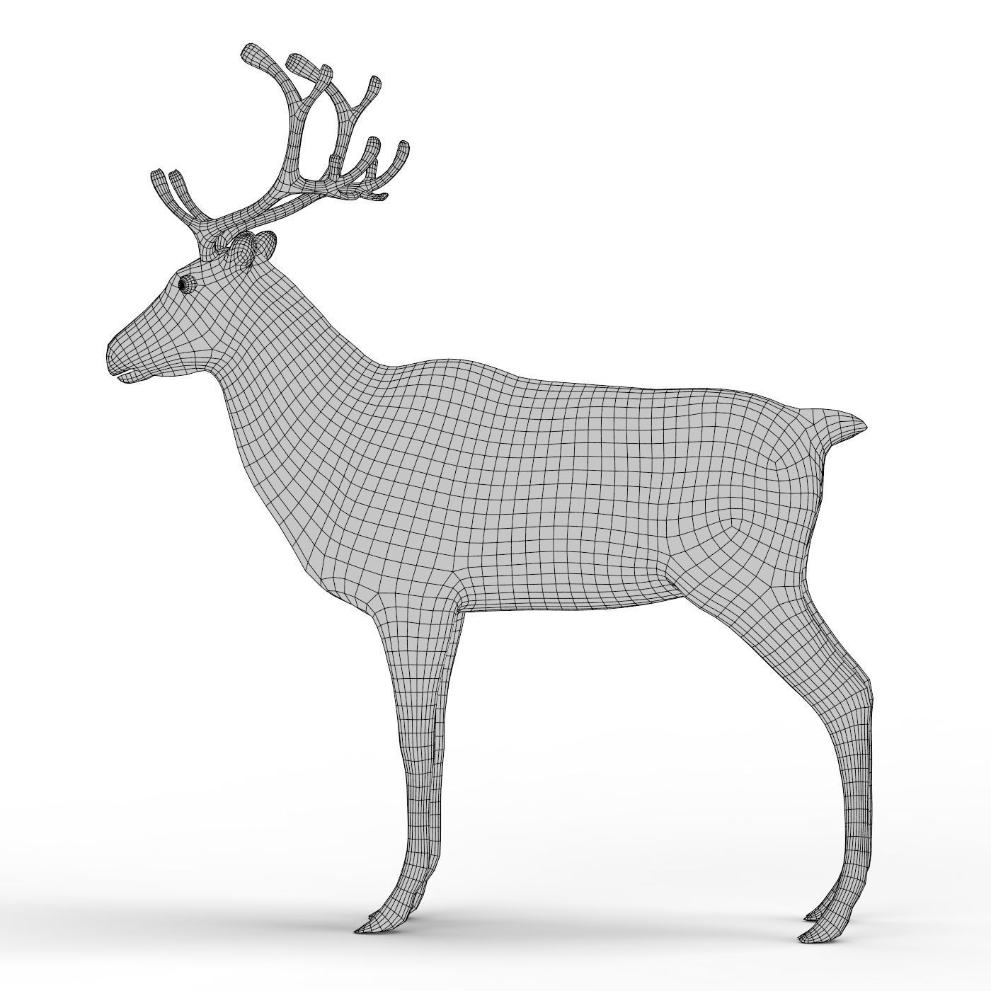 Deer Base Mesh Low-poly 3D model_4