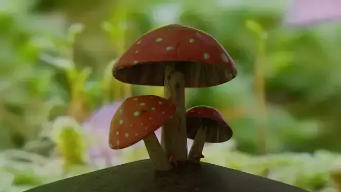 mushrooms-free-lowpoly mushrooms on rock