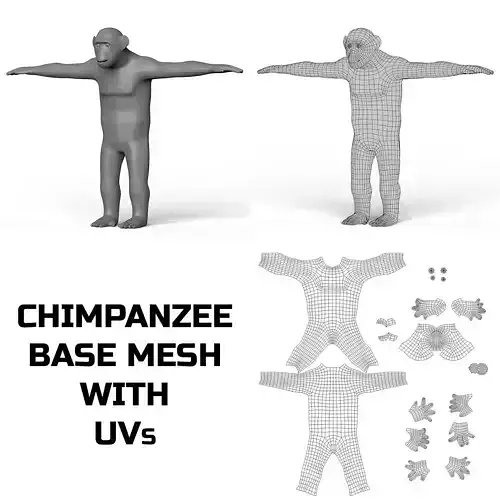 Chimpanzee Base Mesh Low-poly 3D model