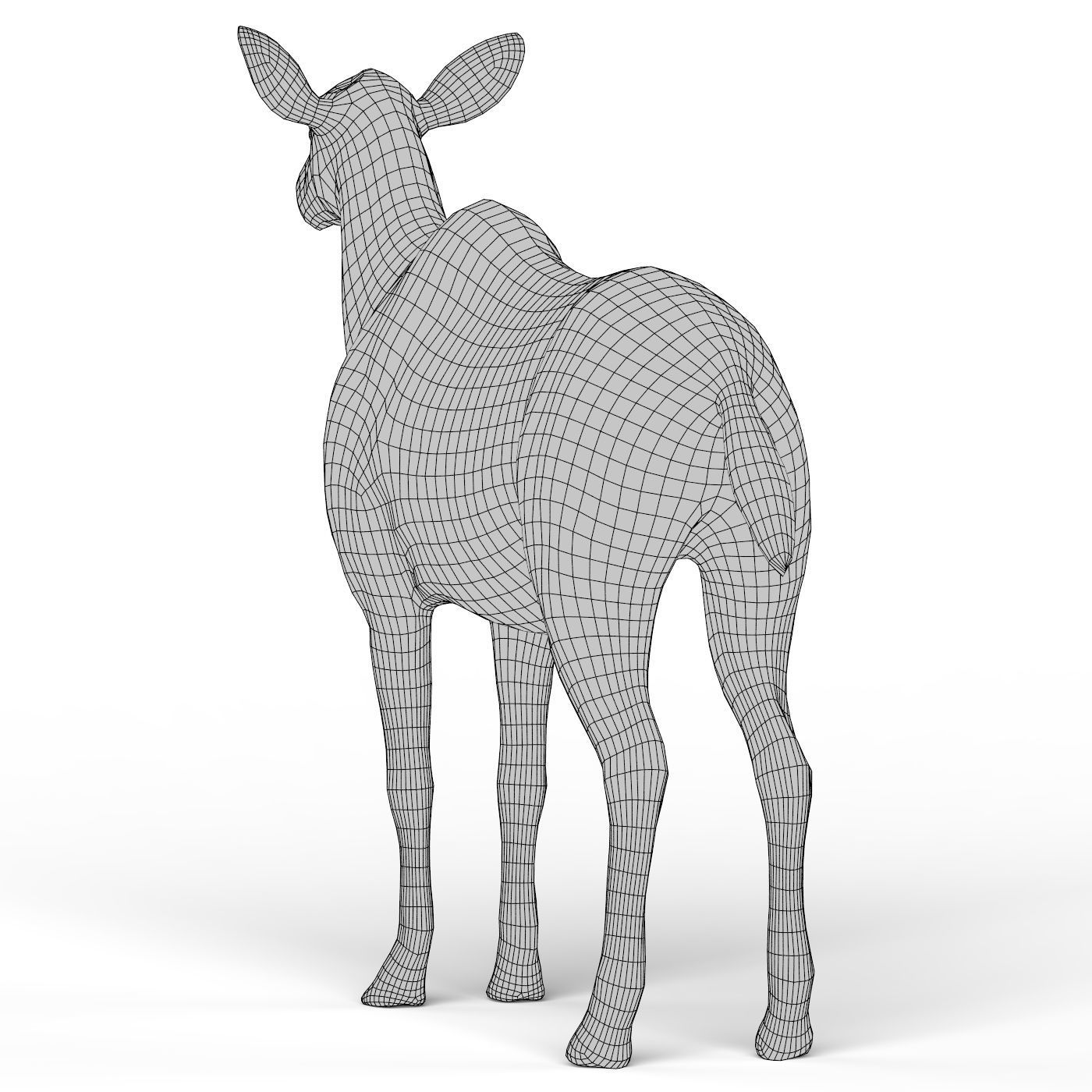 Kudu Base Mesh Low-poly 3D model_5