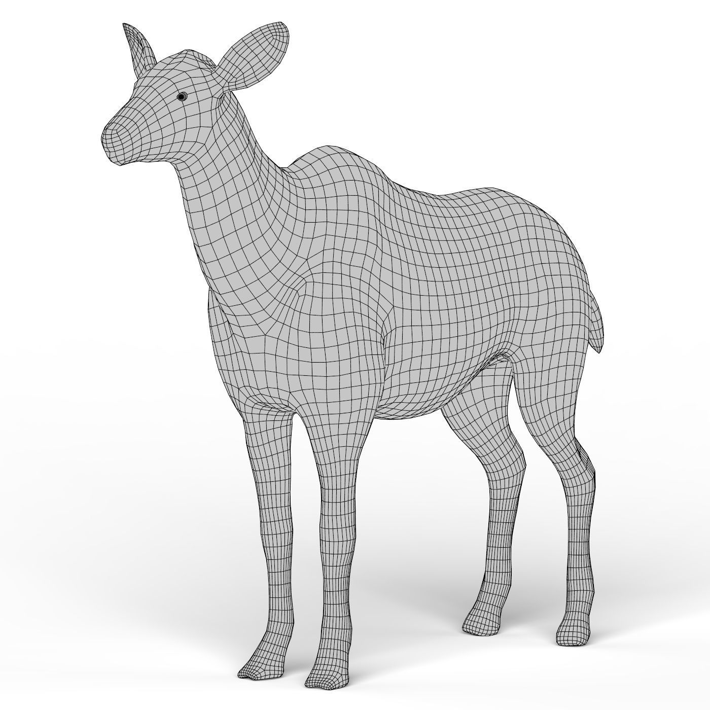 Kudu Base Mesh Low-poly 3D model_3