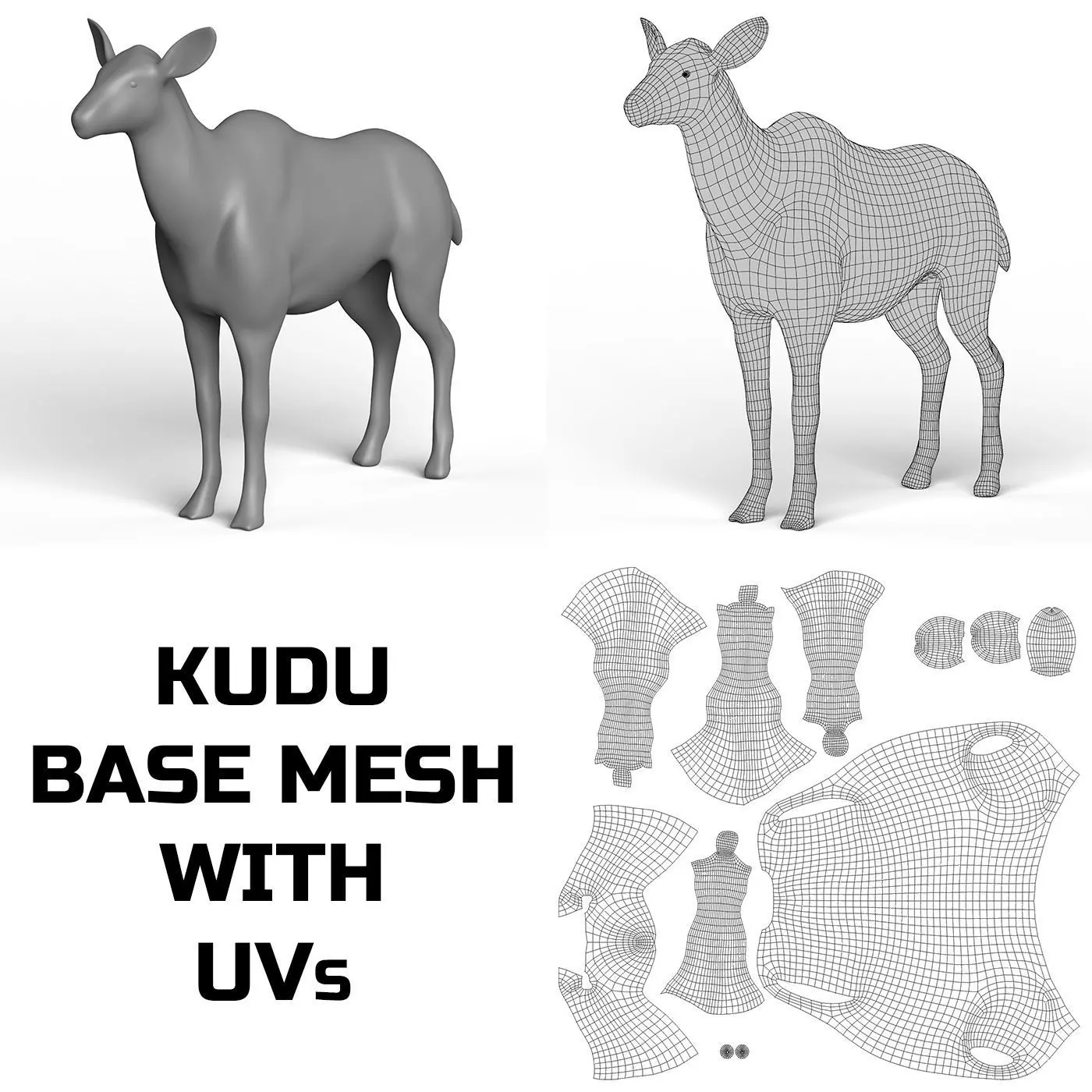 Kudu Base Mesh Low-poly 3D model_0