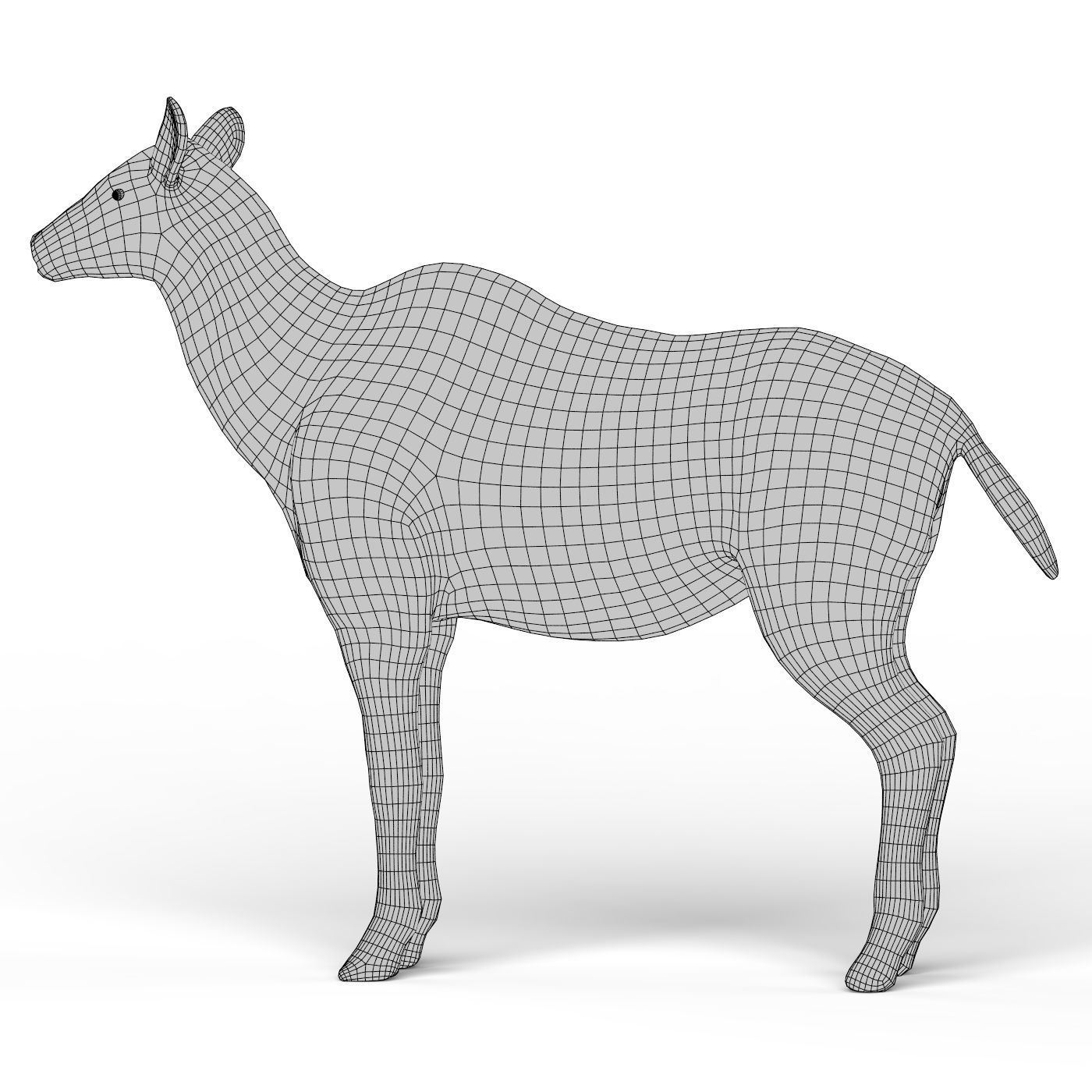 Kudu Base Mesh Low-poly 3D model_4