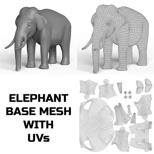 Elephant Base Mesh