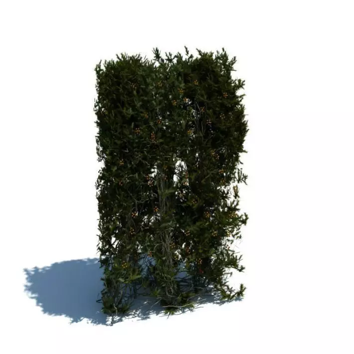 Modern Plant 3D model_0