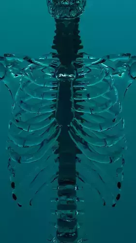 skelton skeleton in water
