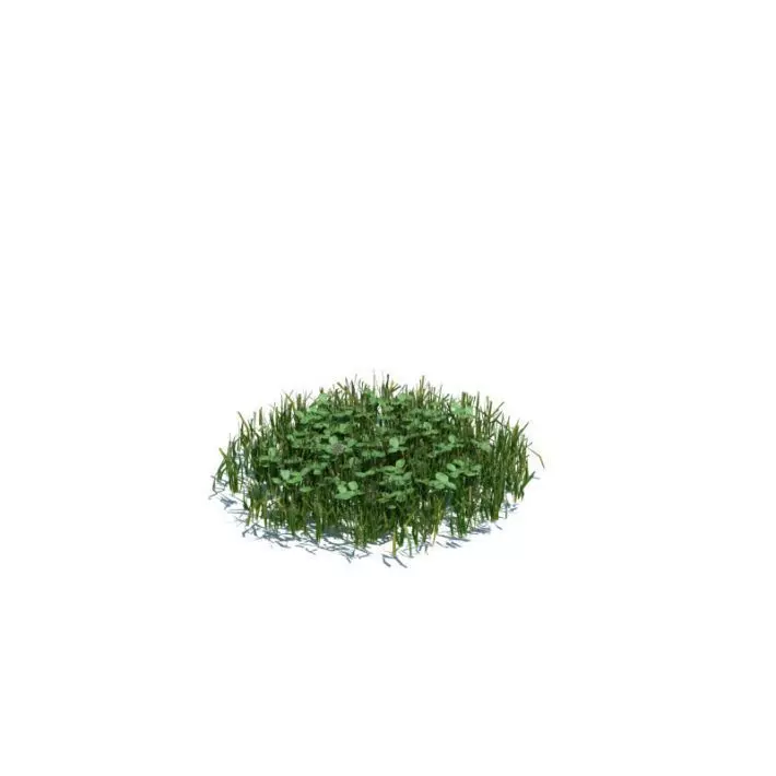 Patch Of Green Grass 3D model_0
