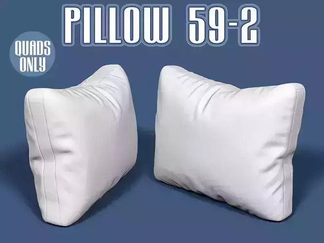 Pillow 59-2