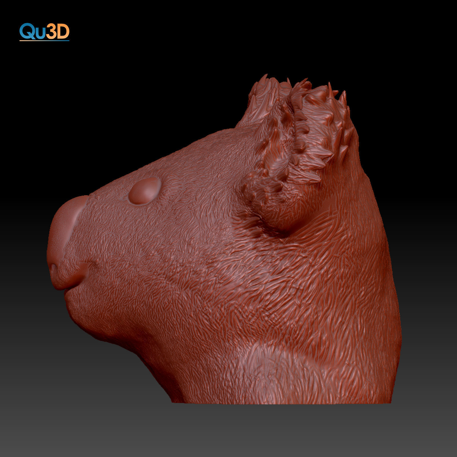 Koala Head and Face Bust - 3D Print Model High-Polygon Free 3D print model_1