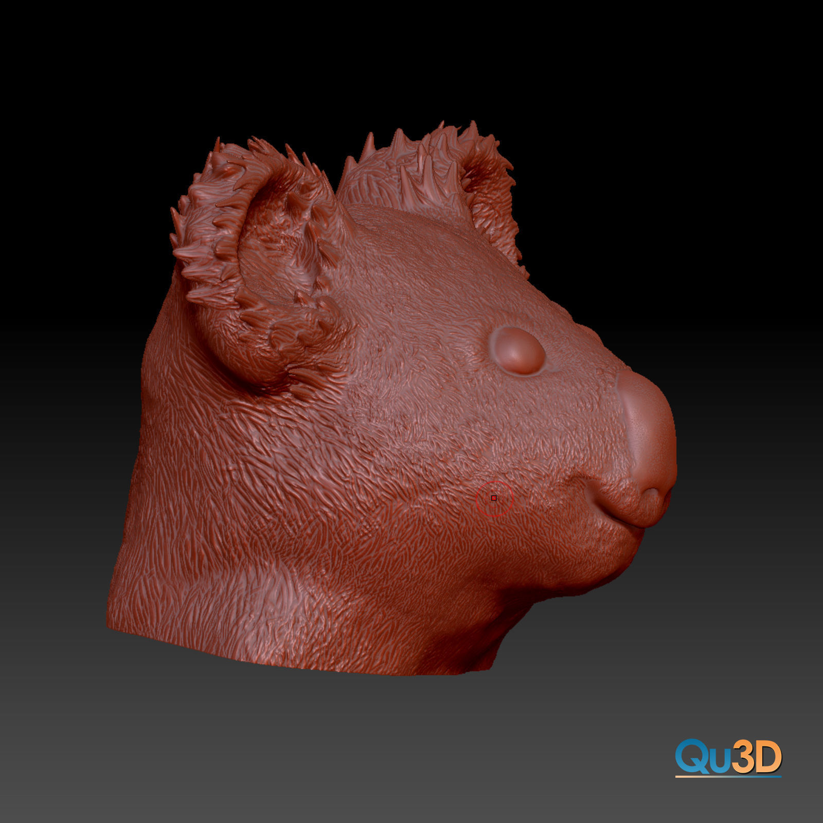 Koala Head and Face Bust - 3D Print Model High-Polygon Free 3D print model_3